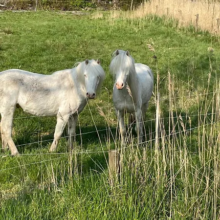 Διαμέρισμα Marschtraum