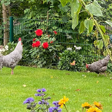 Apartamento Marschtraum *